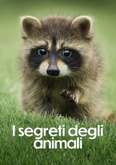 I segreti degli animali