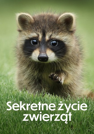 Sekretne życie zwierząt