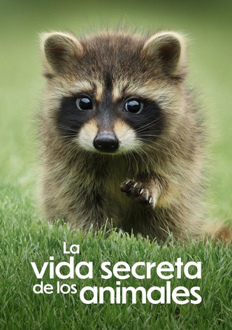 La vida secreta de los animales