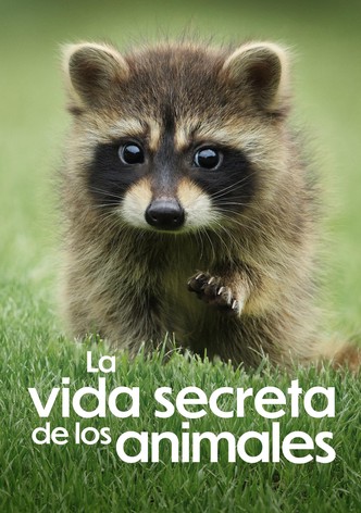 La vida secreta de los animales - Temporada 1