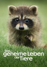 Das geheime Leben der Tiere