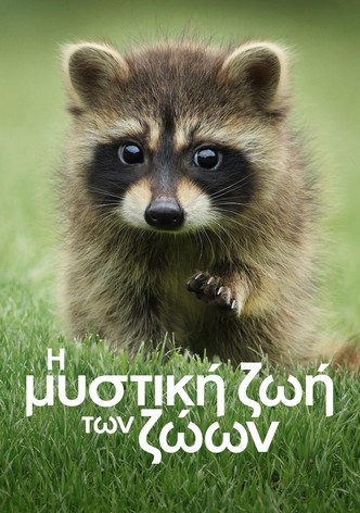 Η Μυστική Ζωή των Ζώων