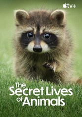 The Secret Lives of Animals
