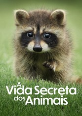 A Vida Secreta dos Animais