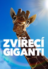 Zvířecí giganti