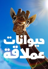 حيوانات عملاقة