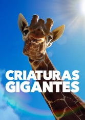 Animales a lo grande - Criaturas gigantes - Temporada 1