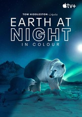 Earth at Night in Colour