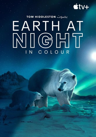 Earth at Night in Colour