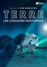 Terre : les couleurs nocturnes