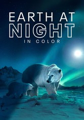 Earth at Night in Colour