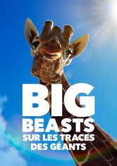 Big Beasts : sur les traces des géants