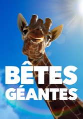 Big Beasts : sur les traces des géants