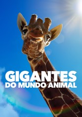 Gigantes do Mundo Animal