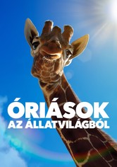 Óriások az állatvilágból