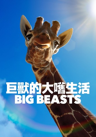 Big Beasts