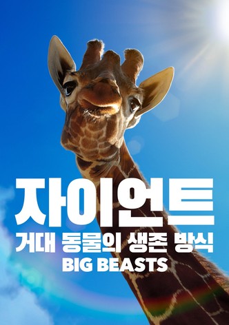 시즌 1