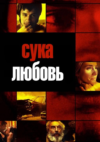 Сука-любовь