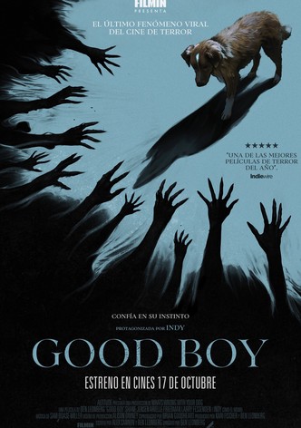 Good Boy