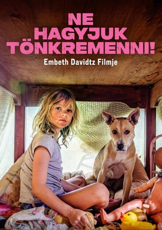 Ne hagyjuk tönkremenni!