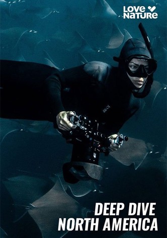 Deep Dive North America