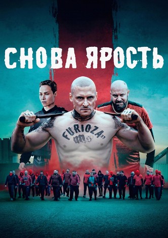 Снова ярость