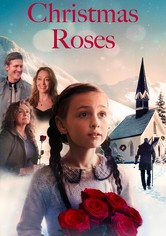 Christmas Roses