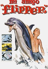Mi amigo Flipper
