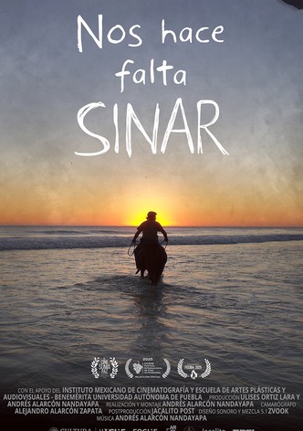 Nos hace falta Sinar