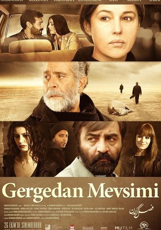 Gergedan Mevsimi