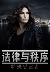 法律与秩序：特殊受害者