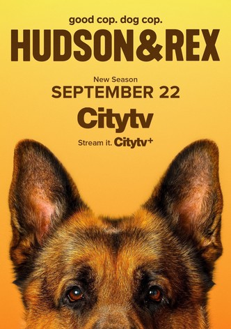 Hudson & Rex - Temporada 8