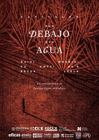 Naiki weeria. Ka gotti ba´a betuk luula