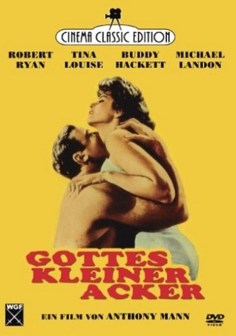 Gottes kleiner Acker