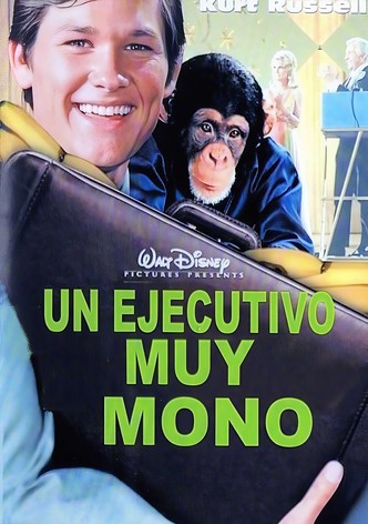 Un ejecutivo muy mono