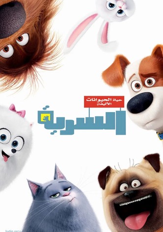 الحياة السرية للحيوانات الأليفة