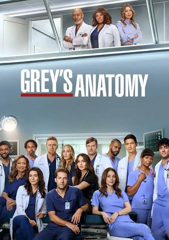 Staffel 22