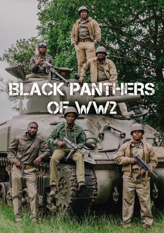 The Black Panthers of WW2