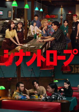 シナントロープ