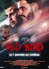 Red Bird