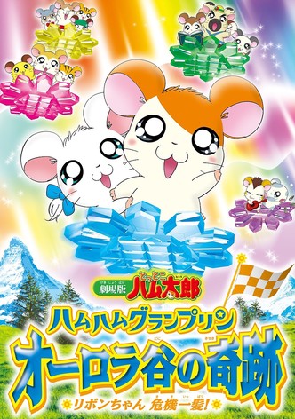Tottoko Hamutaro: Ham Ham Grand Prix Aurora Tani no Kiseki - Ribon-chan Kikiippa
