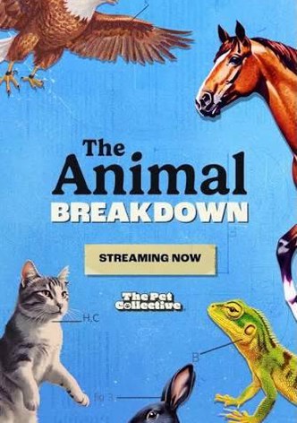 The Animal Breakdown