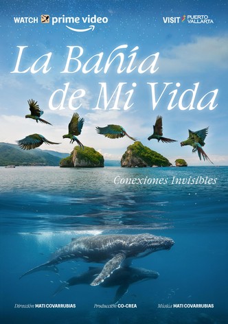 La Bahía de Mi Vida
