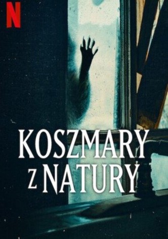 Koszmary z natury