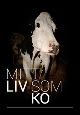 Mitt liv som ko