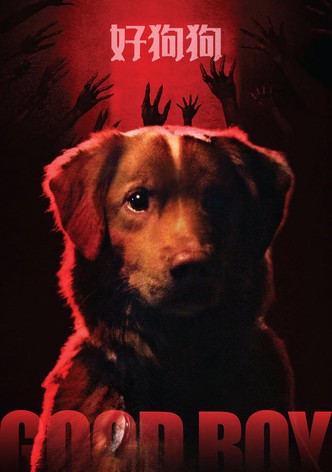 好狗狗