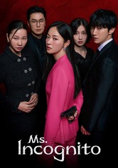 Ms. Incognito - Staffel 1