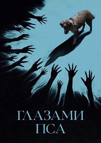 Глазами пса