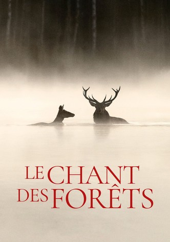 Le chant des forêts