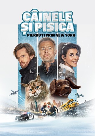 Câinele și pisica: Pierduți prin New York